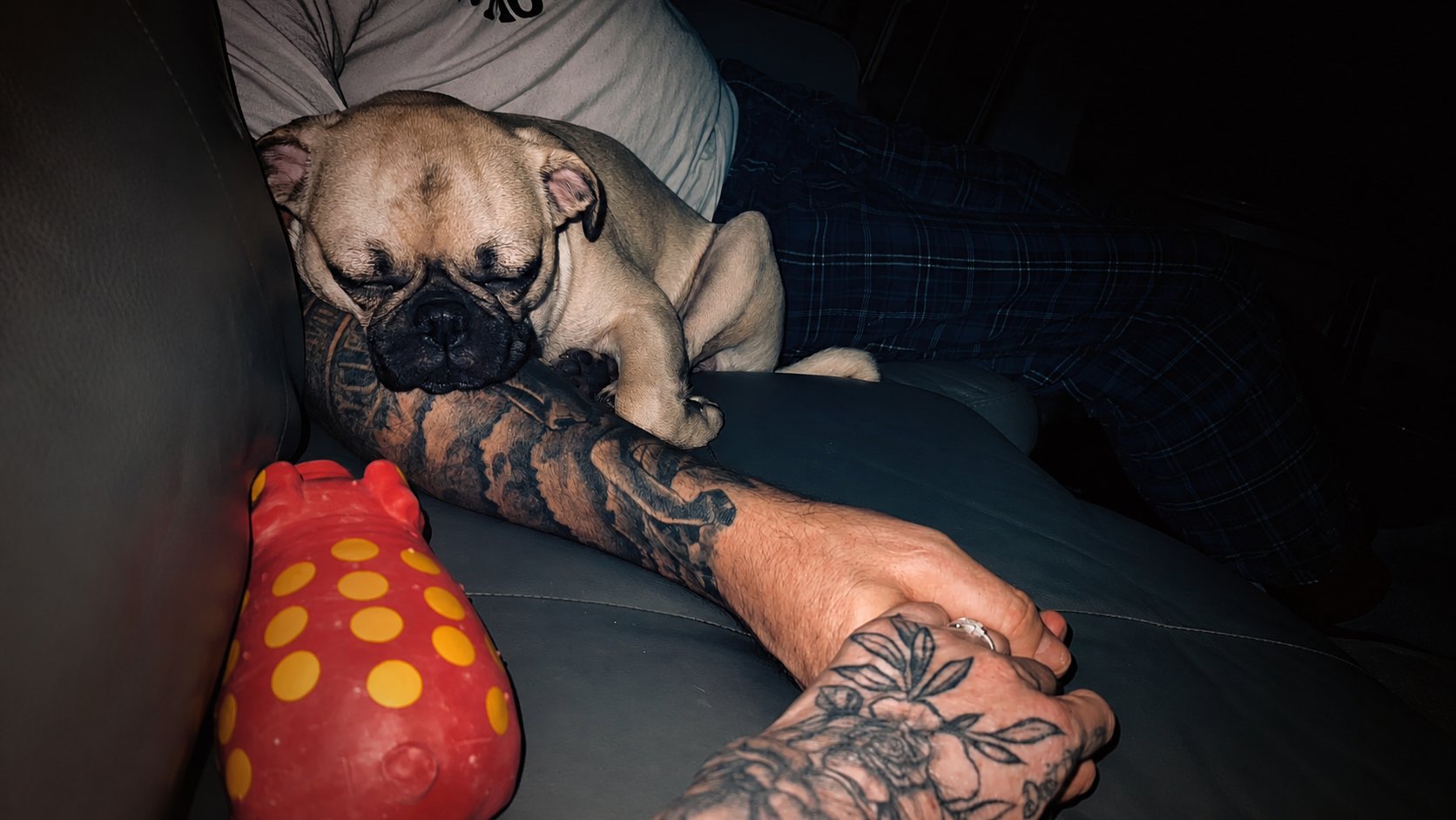 Bébé Harley endormi sur le bras de Joryce